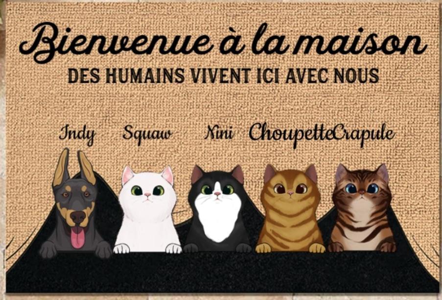 Hotel Chez Sophie Et Thibault Sceaux-du-Gatinais Esterno foto
